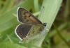 282241 – Photo : Christian Berquer – France (64)